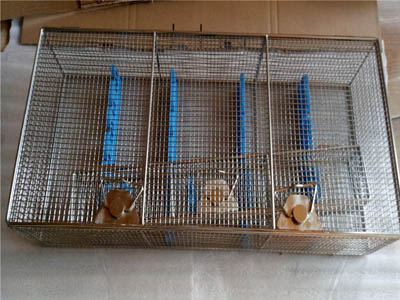 器械（xiè）托盤-器（qì）械打包籃-不鏽鋼清洗籃