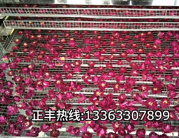 不鏽鋼玫（méi）瑰花烘烤盤